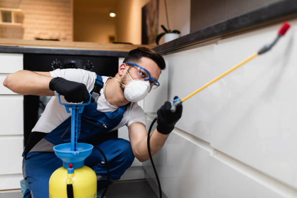Reliable East Patchogue, NY Pest Control Solutions