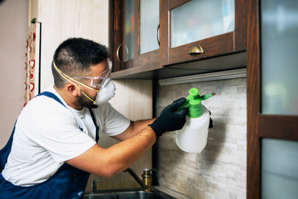 Best Pest Control Near Me in East Patchogue, NY