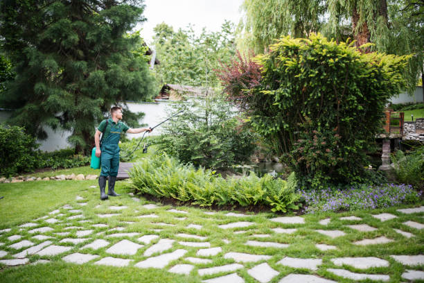 Best Pest Inspection Near Me  in East Patchogue, NY